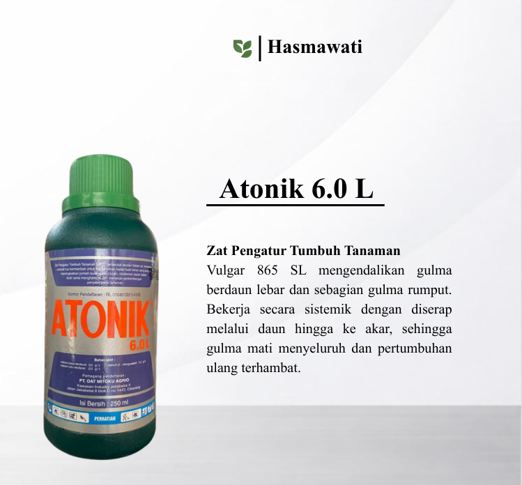 contoh