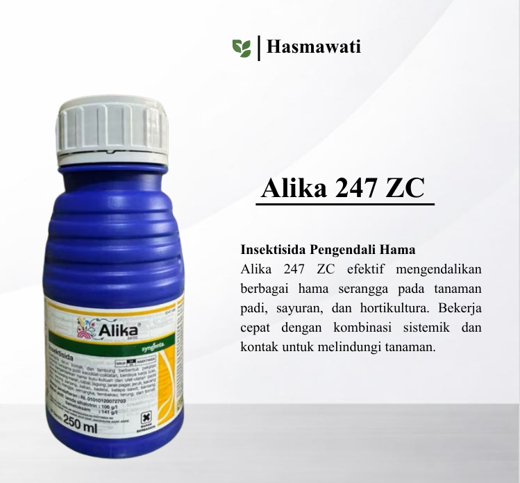 Alika 247 ZC