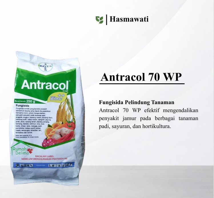 Antracol 70 WP