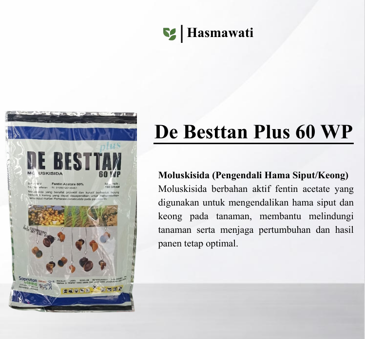 DE BESTTAN plus 60 WP