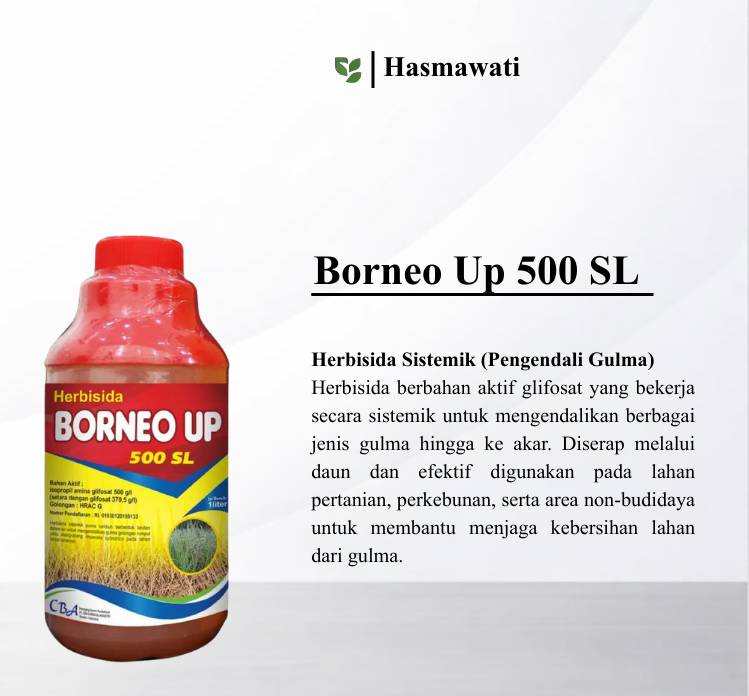 BORNEO UP 500 SL