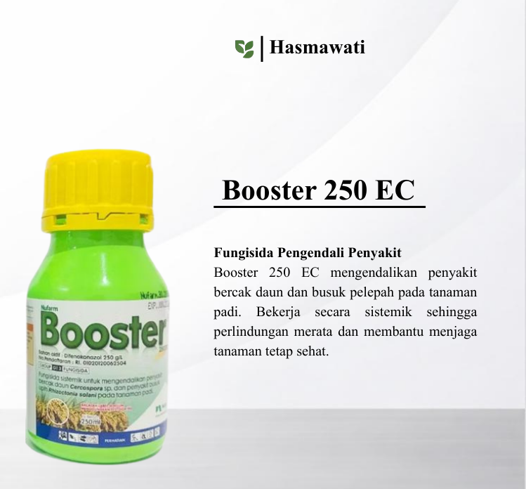 Booster 250 EC