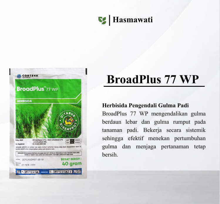 BroadPlus 77 WP