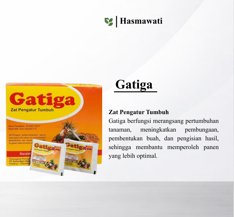 Gatiga