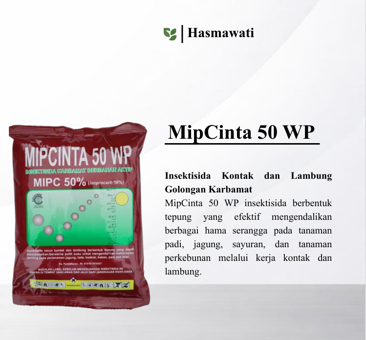 MipCinta 50 WP