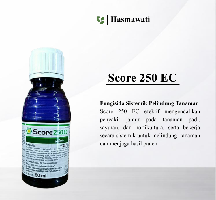 Score 250 EC