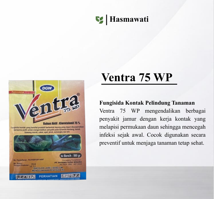 Ventra 75 WP